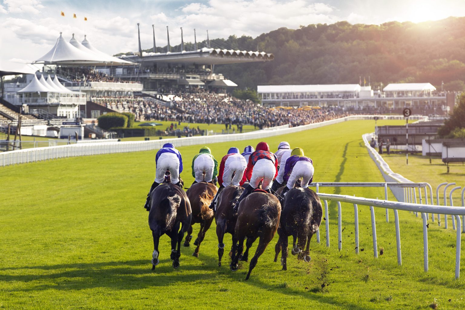 Horses racing racecourse GOODWOOD-shot is from behind the racers racing around a corner approaching a straight. Some mud is flicking up as the horses are flat out.